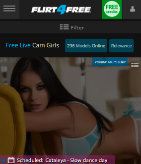 Flir4free Mobi-Version mit Cams Girls